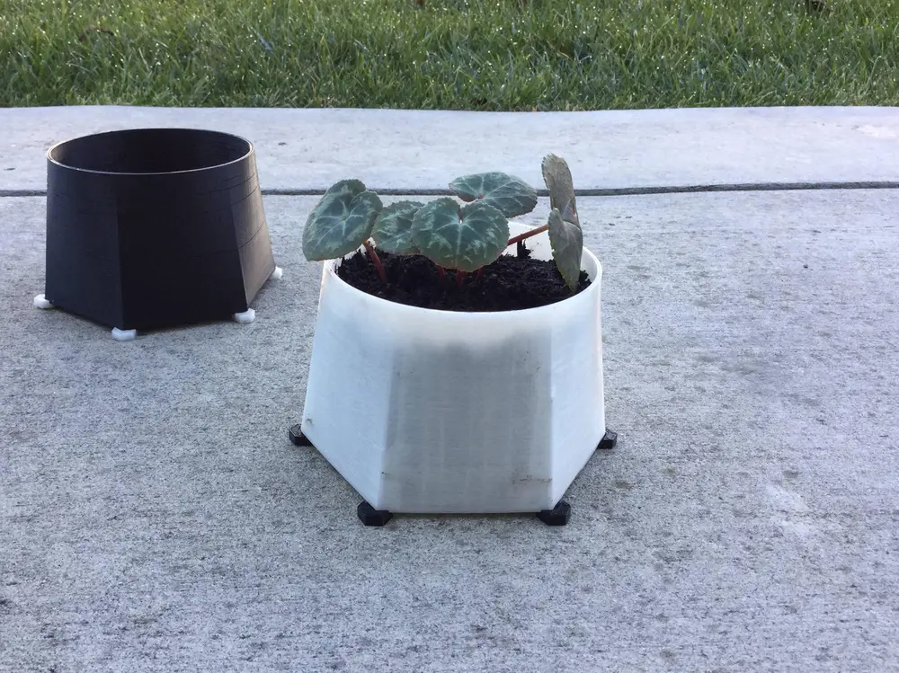 polygon planter