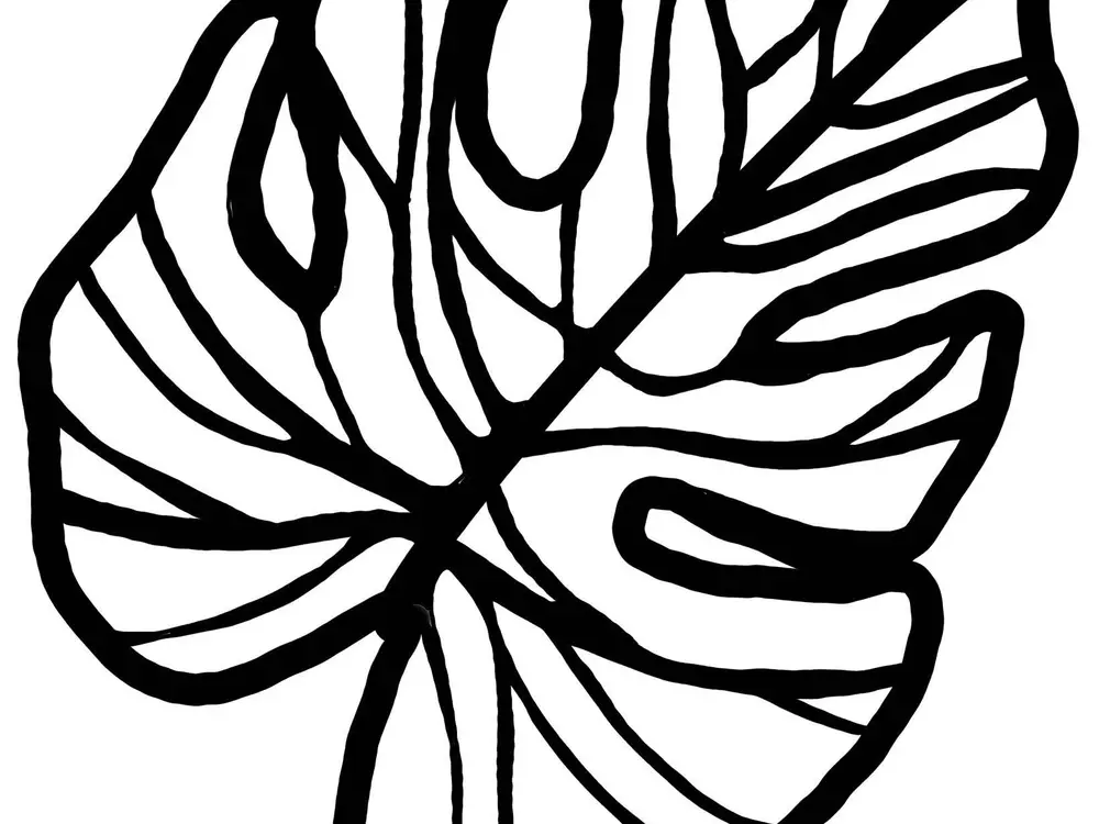 monstera leaf 1