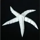 hinge starfish