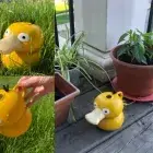 Kodak duck shower head
