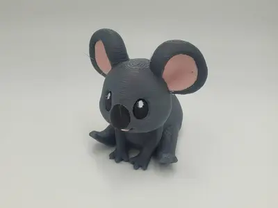 Baby Koala