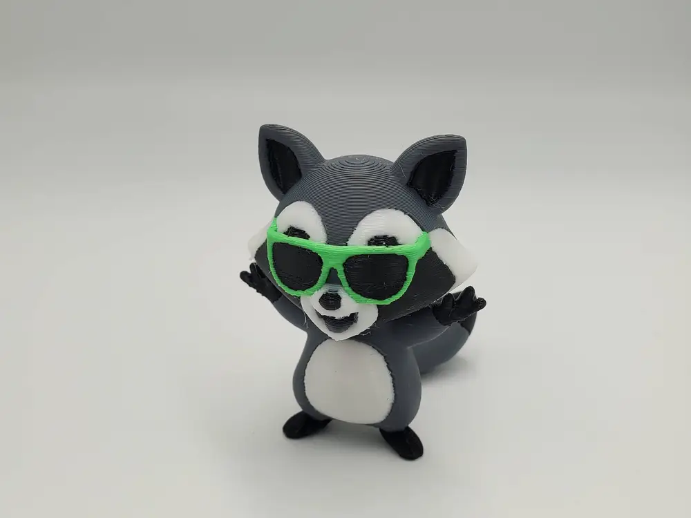 Cool Racoon