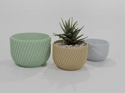 Plant Pot