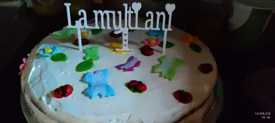 Birthday Cake Topper (La Multi Ani)