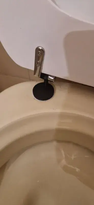 Toilet seat hinge replacement