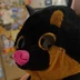 FTGodel