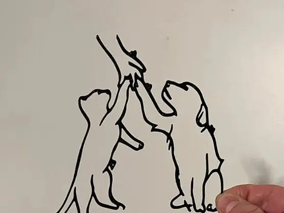 Verifica Gato y Perro