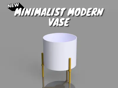 Modern decorative vase for plants