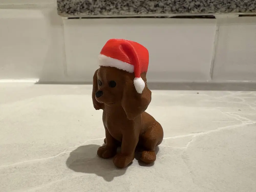 Cavalier king charles with santa hat
