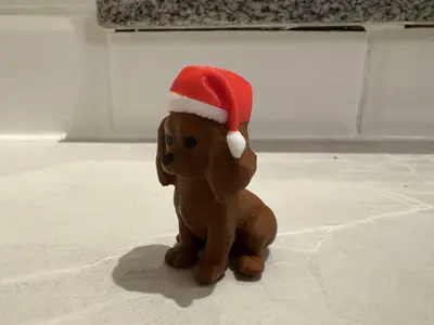 Cavalier king charles with santa hat