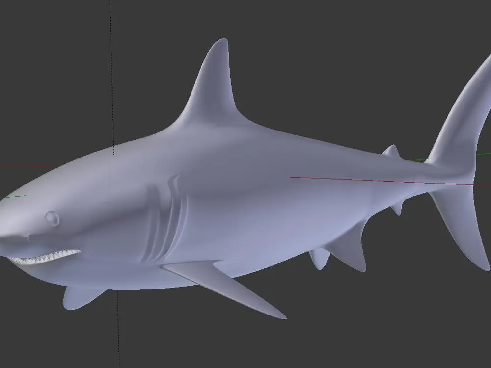 GreatWhite1