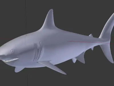 GreatWhite1