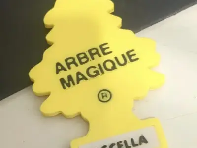 Arbre Magique (ascella)
