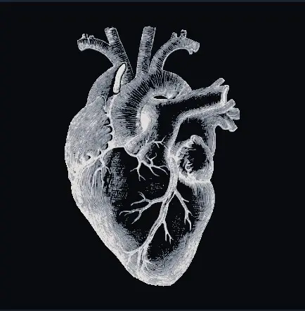 Real Heart Hueforge IMage