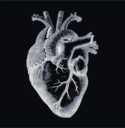 Real Heart Hueforge IMage