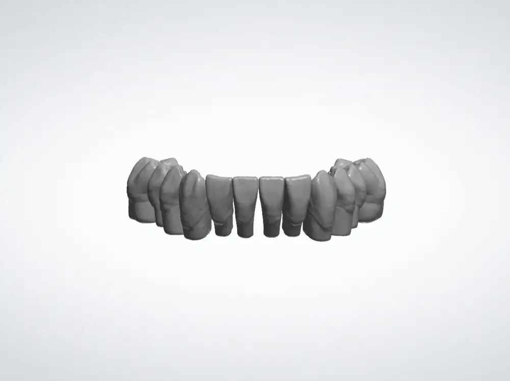 Teeth Library 1 Lower