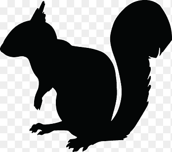 2D wall art squirel