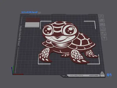 Tortuga Young Multicolor 2D