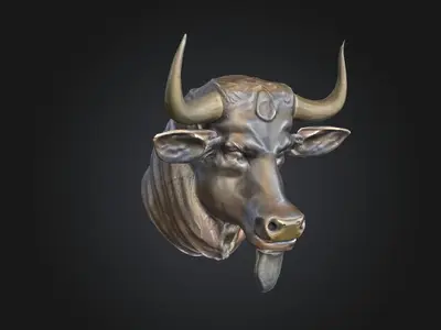 Bull head
