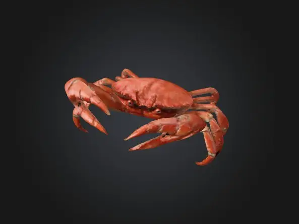 Crab