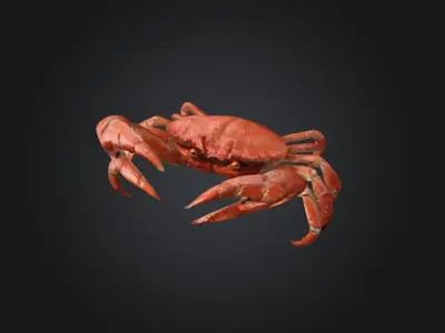 Crab