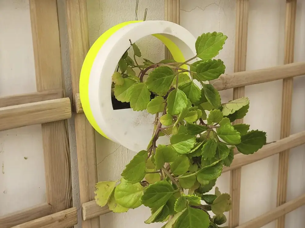 Circle Wall Planter