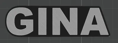 NOMBRE DE GINA