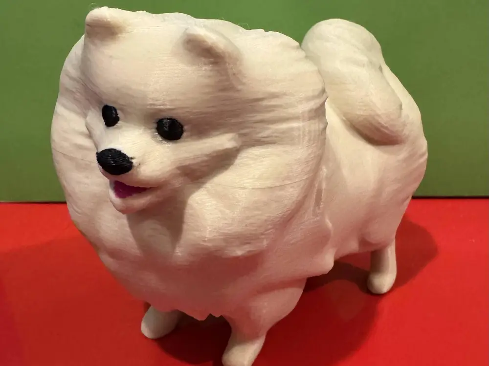 Pomeranian