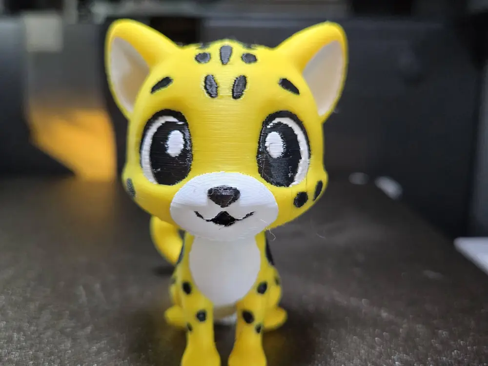 cheetah