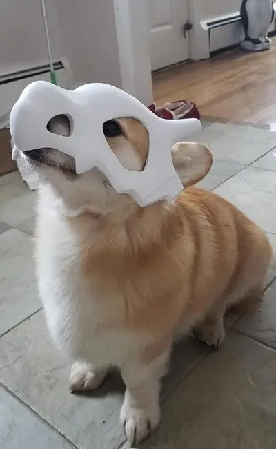 Funny Cubone Mask For Dog