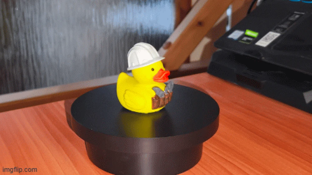 duck mechanic