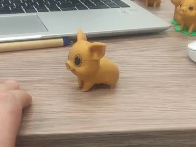 gold pig