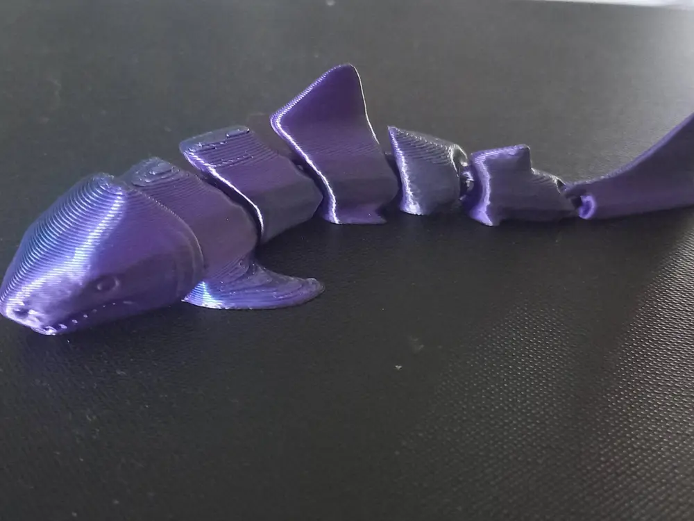 squalo articolato