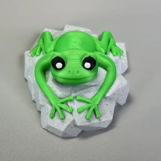 Frog on a stone