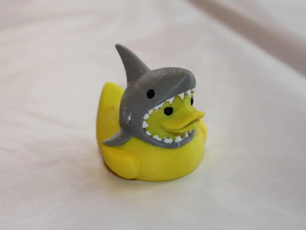 Shark Duck