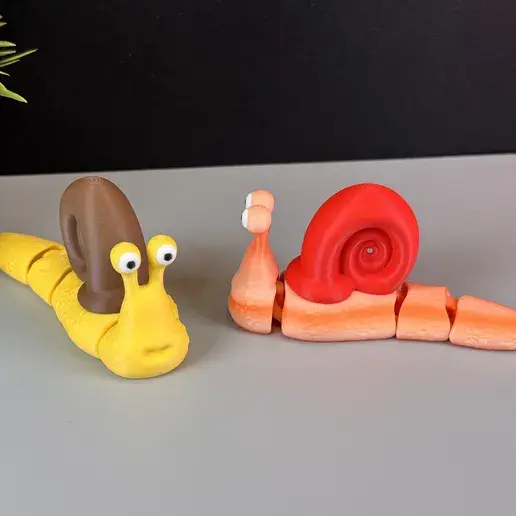 Beautiful Articulated Snail