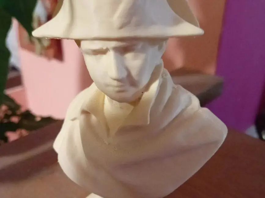 Napoleon Bust