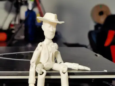 Woody Flexi