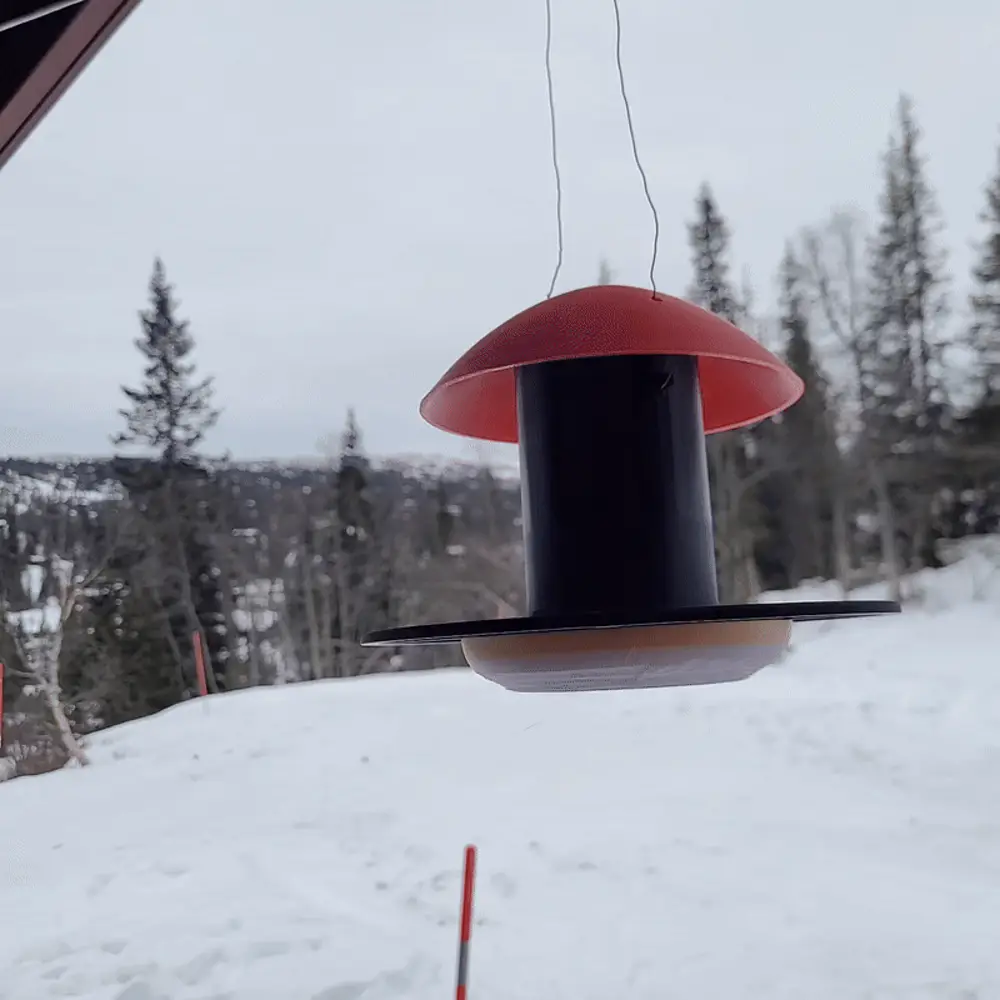 Small birdfeeder 小型喂鸟器a