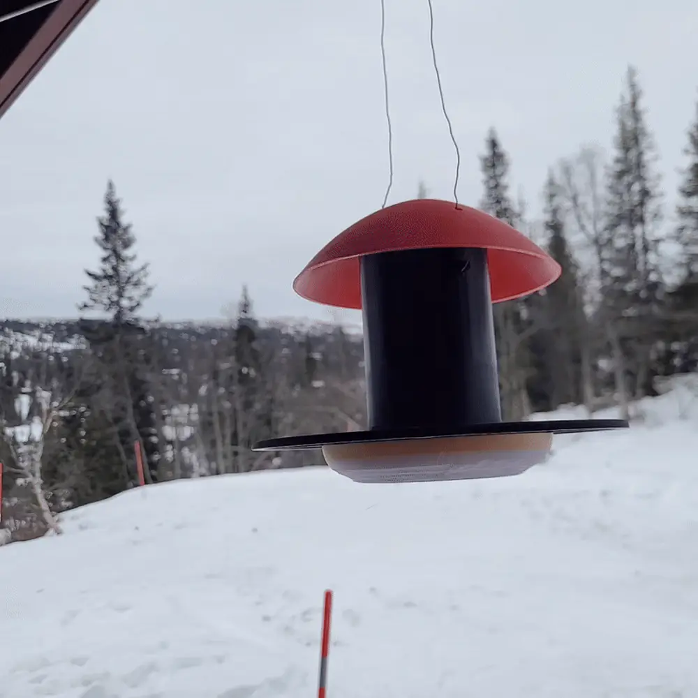 Small birdfeeder 小型喂鸟器a