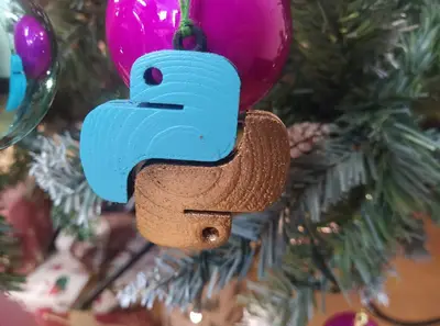 Python Ornament