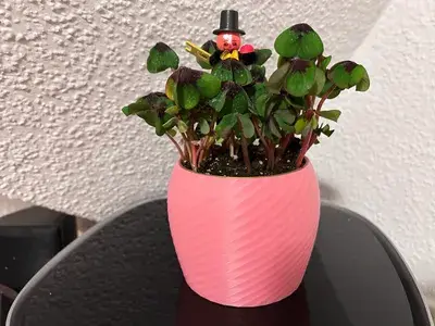 Plant Vase