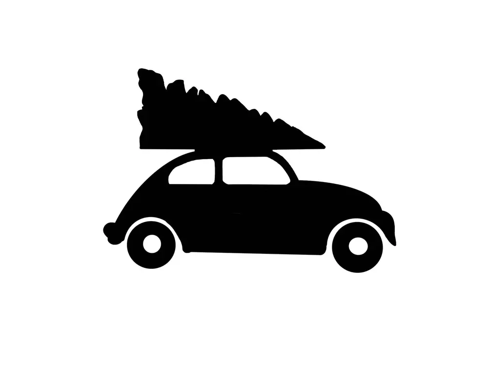 car with tree on top
