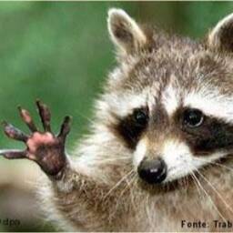 weeee@