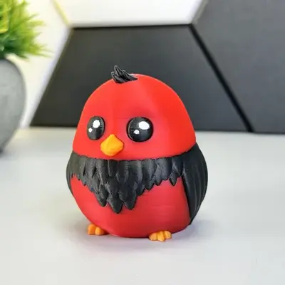 Pretty bird