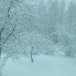 LasuJuhani