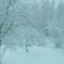 LasuJuhani