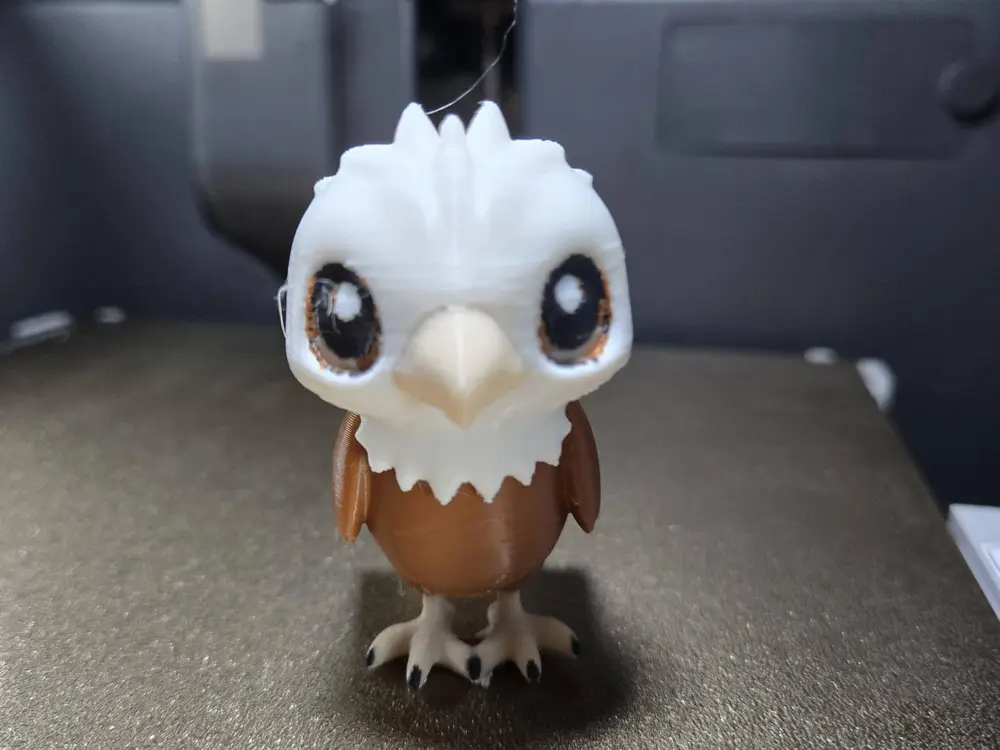 bald eagle