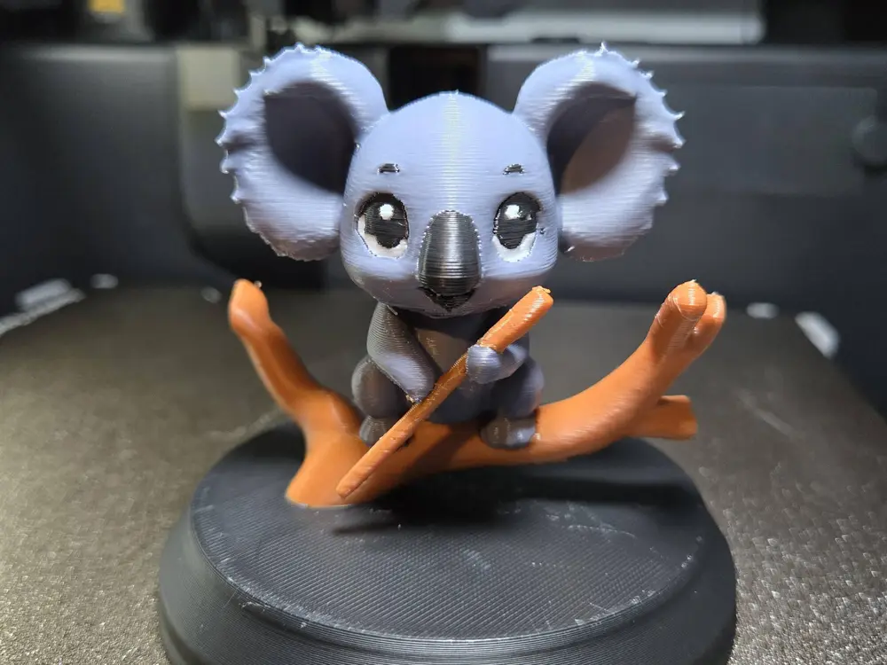 koala