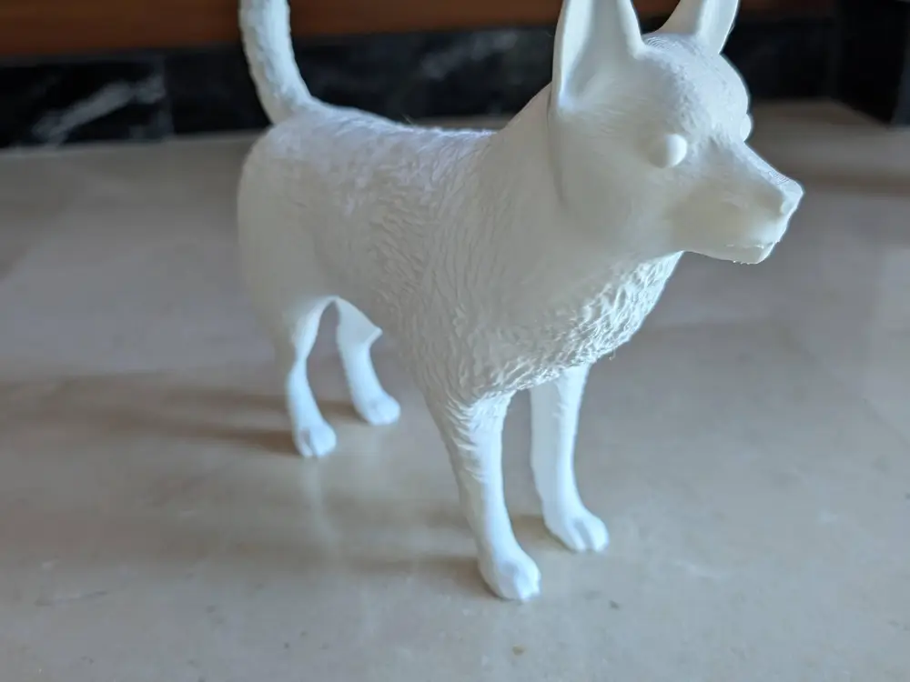 The Dog